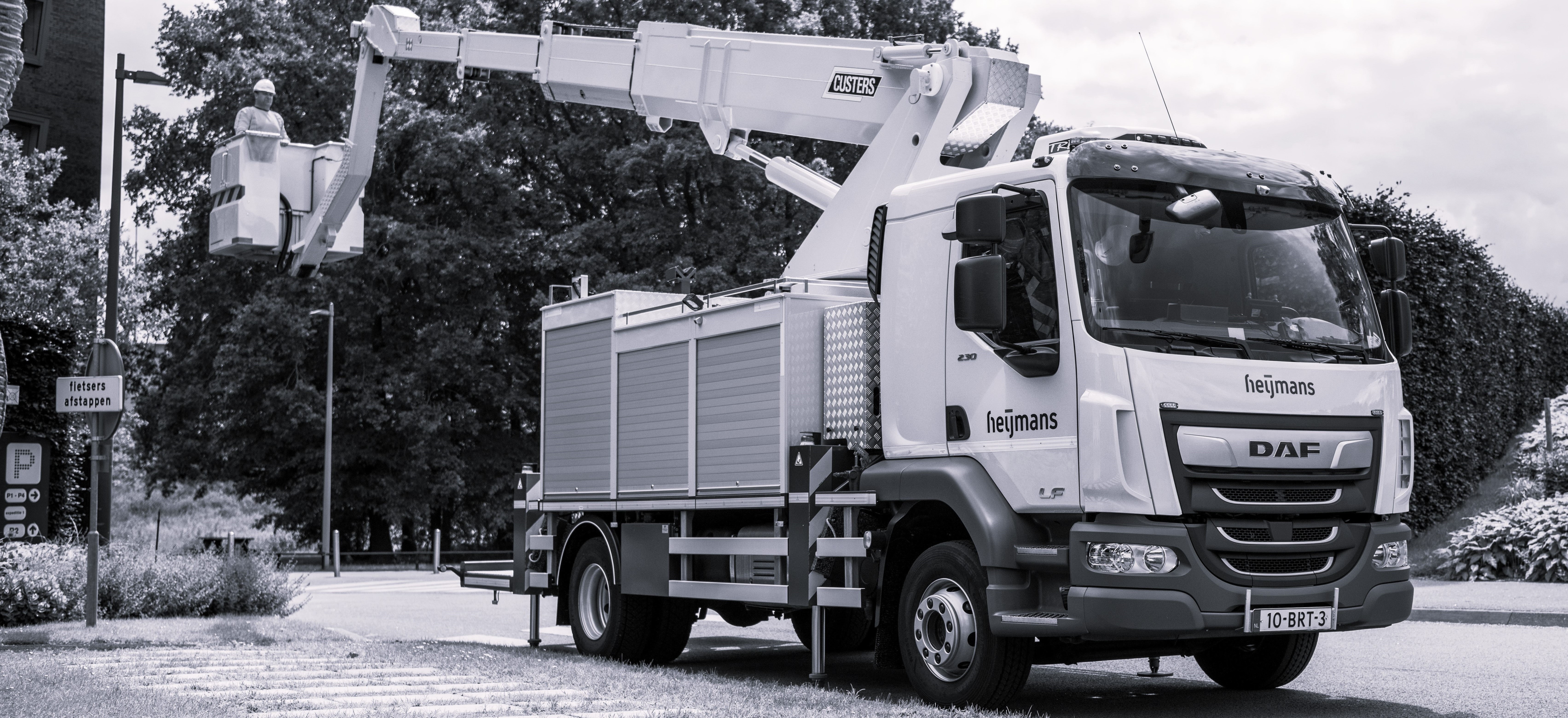Aerial Work Platform Service Specialist